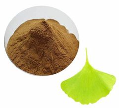 Herbspirit Ginkgo Biloba Leaf Extract Powder Form powder Type Herbal Extract Brand Name Herb Spirit Grade Food Grade, Food - Xi'an HerbSpirit Technology Co., Ltd.