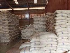Robusta Coffee (screen 12,15 and 18) – product photo 2, product detail gallery