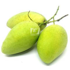Tropical Fruits Sweet Taste Cheap Price Year Round Season Frozen Mango Export From Vietnam – product photo 6, product detail gallery