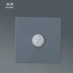 220V PIR Motion Sensor Wall Switch Lamps Home Decor Luxury Control LED Ceiling Fans Light Sensor Switch for Corridor Lighting - Image 2