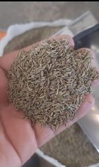 Mellon seeds_ cumin seeds - Image 3