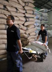 Indonesian Green Coffee Beans – Arabica & Robusta - Image 4