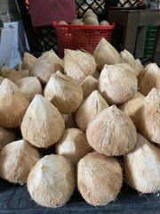 Coconut (Diamond cut or Easy-open) - Image 2