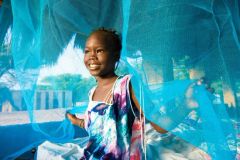 Who Approved Permethrin Impregnated Llin Long Lasting Insecticide Treated Mosquito Net - Image 4