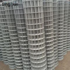 Best Selling Galvanized/Stainless Steel Square Welded Wire Mesh Aviary Mesh - Image 6