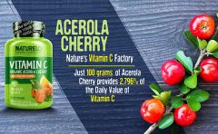 High Quality Acerola Cherry Extract Powder 25% Vitamin C CAS No / Variety / Form Soild State Powder Origin China Packaging - Image 6
