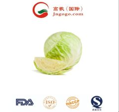 Handpicked Premium Quality Chinese Cabbage Kind Fresh Size 1.5kg Color Green Origin China Trademark GOGO HS Code - Image 4