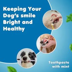 OEM ODM Toothpaste for Cats & Dogs - Image 5