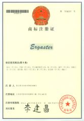 Ergaster certificate from Danyang Ergaster Tools Co., Ltd.