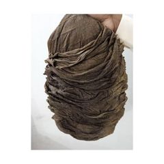 Beef omasum available for wholesale sale perfect for meat distributors and wholesale butchers - Image 2
