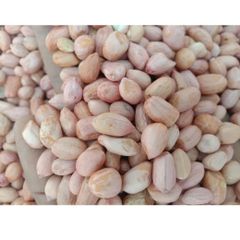 KACANG TANAH KERNELS GROUND NUT PEANUT FRESH ORGANIC PEANUT BUTTER PEANUT OFFER CHEAP PRICE - Image 1