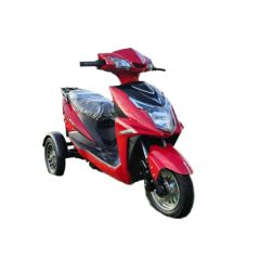 3 Wheel Motorcycle Adult Passenqer Convertible Electric Tricycle - Wuxi Qisheng Automotive Technology Co., Ltd