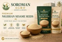 Sesame - Image 1