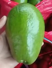 Fresh Avocado – product photo 1, product detail gallery