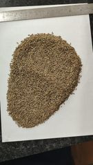 Cumin seeds - Image 1