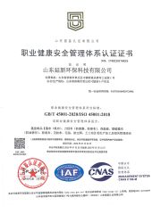 ISO 45001 certificate from Shandong Yanxin Environmental Protection Technology Co., Ltd