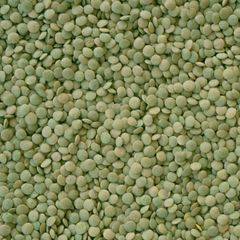 Export Quality Green Lentils Delivering Rich Plant Protein Source With Carefully Sorted Premium Crop Selection - Image 1