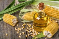 Corn Oil - Image 1