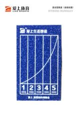 Preferred Brand Shock Absorbent Rubber Running Track for Key Universities - Image 6