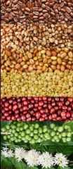 Coffee beans – product photo 1, product detail gallery