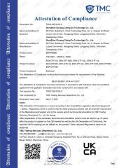 DTF Printer Certification certificate from Shenzhen Chuang Cheng Da Technology Co., Ltd.