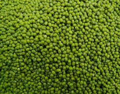 Green mung beans in the sack / Mung bean seed cereal whole grains - Image 3