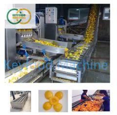 Automatic Canned Yellow Peach Orange Fruit Production Line - Image 6
