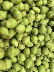 FRESH WILLIAM BON CHRETIEN PEARS FOR SALE!! CLASS 1 EXPORT QUALITY WILLIAM BON CHRETIEN PEARS FOR EXPORT – product photo 1, product detail gallery
