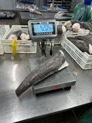 Patagonian Toothfish -  Chilean Seabass - Image 2