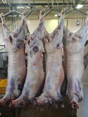 South African Lamb Origin South Africa Type Chilled and Frozen Beef Place of Origin South Africa Product Type Lamb And Mutton - Image 3