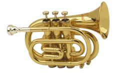 Pocket Trumpet / Bb Trumpet / Trumpet Age Adults Brand Forest Origin China Color Silver Trademark OEM Certification SGS HS Code - Image 6