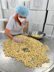 Delicious 100% High Quality Wholesale Organic Cashew Nuts Made In Vietnam Ready For Delivery - Image 4