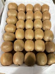 FRESH PREMIUM KIWIFRUIT FROM SOUTH AFRICA! CLASS 1 QUALITY! NEW CROPS EXCELLENT PACKING - Image 1