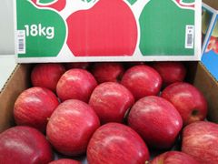 Premium quality apple Grade A Size 65–85 mm Content 80–85% Storage Type Cold Storage Shape Uniform, firm, crisp Place of Origin South Africa - Image 2