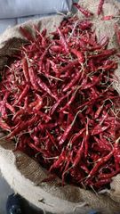 Red chilli Packaging Jute bag Max. Moisture (%) 13% Type S17 (teja chilli) Specification 3-4% dis colour - Image 2