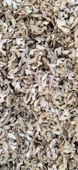 Dry Ginger Indian Slice (Split) – product photo 2, product detail gallery