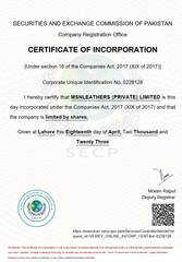 Incorporation Certificate certificate from Msn Leathers Private Limited