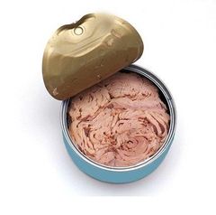 Canned Tuna Fish Chunk in Vegetable Oil - Image 4