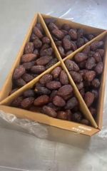 Egyptian Dates - Image 2