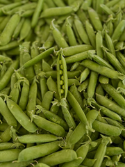 Dried PIGEON PEAS Export Quality | High-Quality Dried Pigeon Peas 1kg to 10kg Wholesale Supply - Image 1