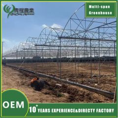 Premium Galvanized Steel Rectangular Profiles for Greenhouse Structures - Image 1