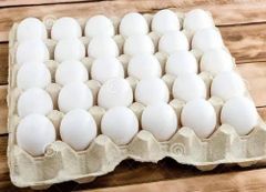 Fresh White Chicken Egs Wholesale Supply - Image 4