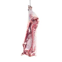 Fresh Meat - Image 4