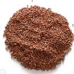 Sorghum – product photo 5, product detail gallery