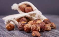 Natural Dried Reetha (Soapnut) from Nepal – Bulk Export Supply | CIF - Image 1