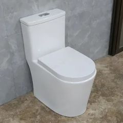 Small Size Eddy Siphonic One Piece Toilet New Design Bathroom CE Wc Commode - Image 2