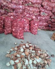 Cocopiber, cocopeat, briket, coconut Shell corchoal, coconibs. - Image 4