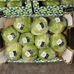 BUY CRISP FRESH HEALTHY GREEN LETTUCE PREMIUM QUALITY 10 HEADS PER CARTON FROM TRUSTED GROWERS - Sosa Merchant Solutions