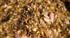 Corn Silage – product photo 2, product detail gallery