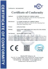 Certificates certificate from Shenzhen Risenda Technology Co., Ltd.